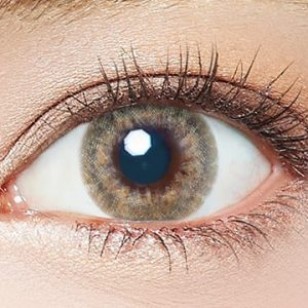 (EL1004)EverColor 1day LUQUAGE AquaBeige 10片裝